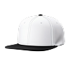 Snapbacks